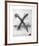 Untitled - X and Nail Color-Donald Saff-Framed Limited Edition