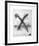 Untitled - X and Nail Color-Donald Saff-Framed Limited Edition