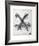 Untitled - X and Nail Color-Donald Saff-Framed Limited Edition