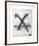 Untitled - X and Nail Color-Donald Saff-Framed Limited Edition