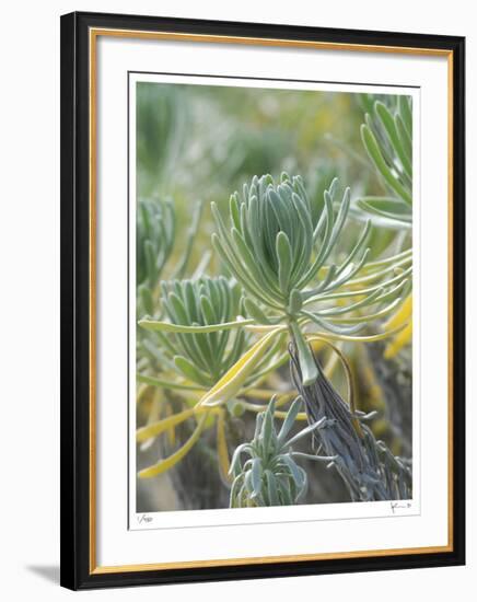 Untitled-John Gynell-Framed Giclee Print