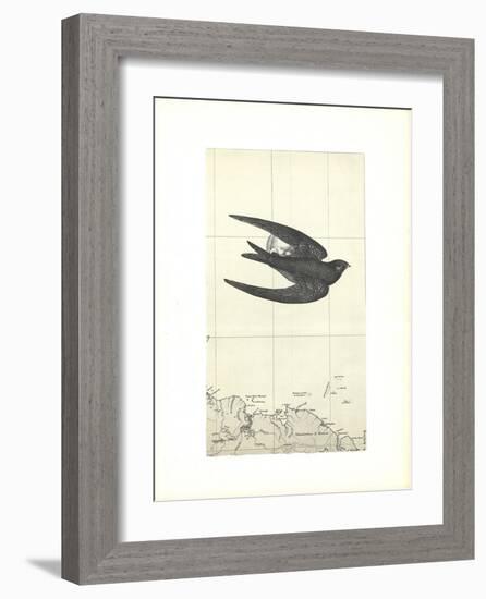 Untitled-Alain Le Yaouanc-Framed Collectable Print