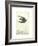 Untitled-Alain Le Yaouanc-Framed Collectable Print