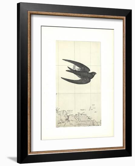 Untitled-Alain Le Yaouanc-Framed Collectable Print