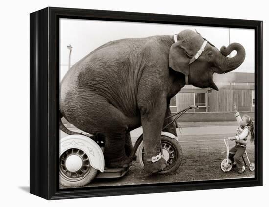 Untitled-null-Framed Premier Image Canvas