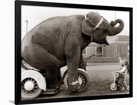 Photographic Print, , large