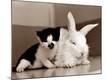 Premium Photographic Print
