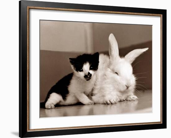 Untitled-null-Framed Photographic Print