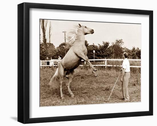 Untitled-null-Framed Photographic Print