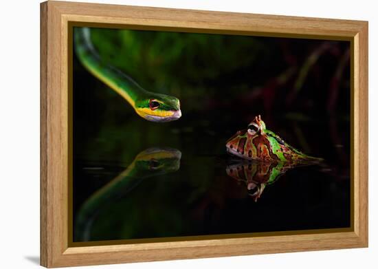 Untitled-Shikhei Goh-Framed Premier Image Canvas