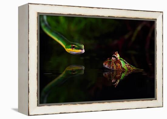 Untitled-Shikhei Goh-Framed Premier Image Canvas