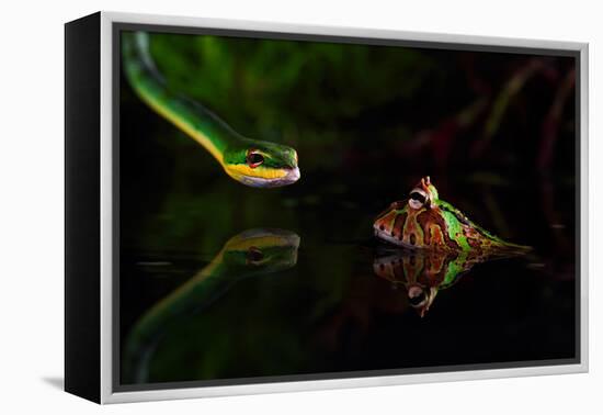 Untitled-Shikhei Goh-Framed Premier Image Canvas