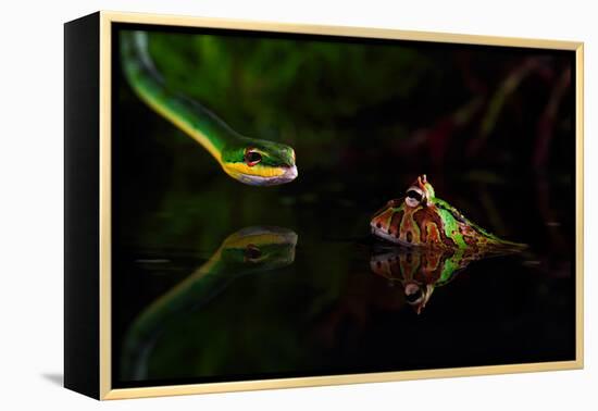 Untitled-Shikhei Goh-Framed Premier Image Canvas