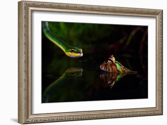 Untitled-Shikhei Goh-Framed Photographic Print