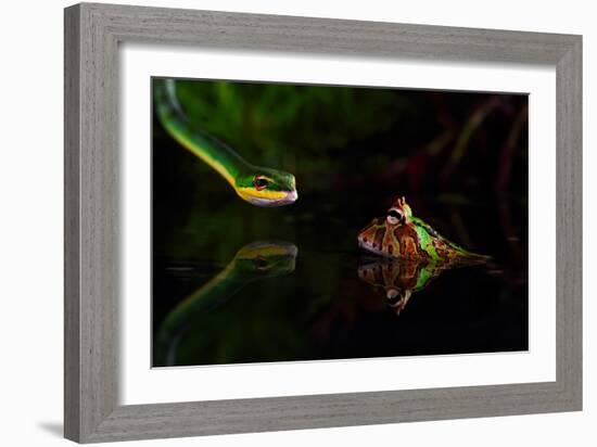 Untitled-Shikhei Goh-Framed Photographic Print