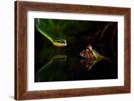 Untitled-Shikhei Goh-Framed Photographic Print