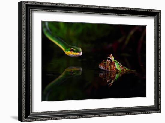 Untitled-Shikhei Goh-Framed Photographic Print