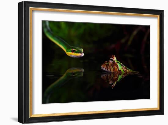 Untitled-Shikhei Goh-Framed Photographic Print