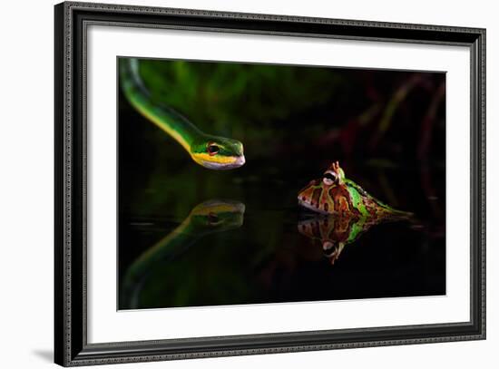 Untitled-Shikhei Goh-Framed Photographic Print