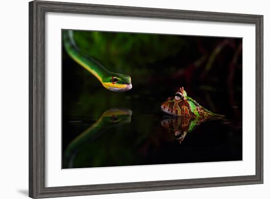 Untitled-Shikhei Goh-Framed Photographic Print