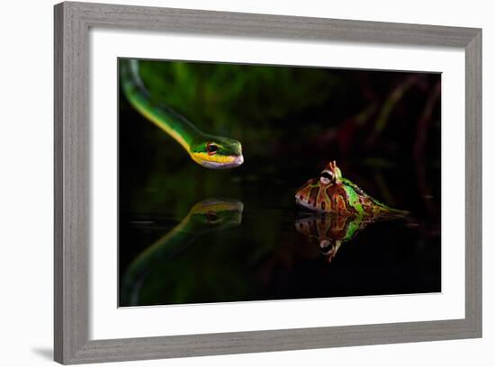 Untitled-Shikhei Goh-Framed Photographic Print