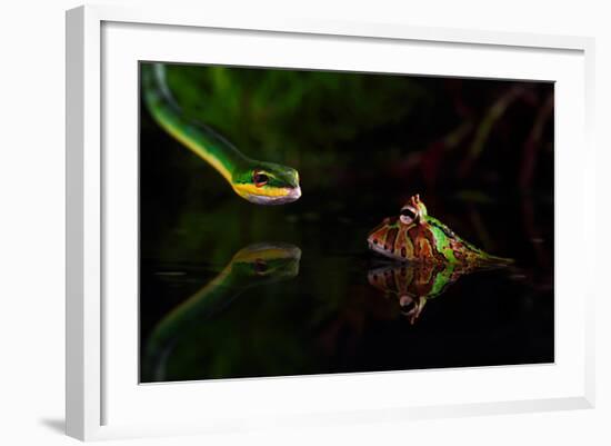 Untitled-Shikhei Goh-Framed Photographic Print