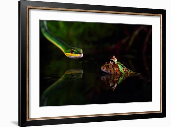 Untitled-Shikhei Goh-Framed Photographic Print