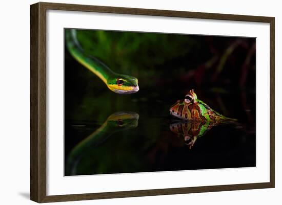 Untitled-Shikhei Goh-Framed Photographic Print