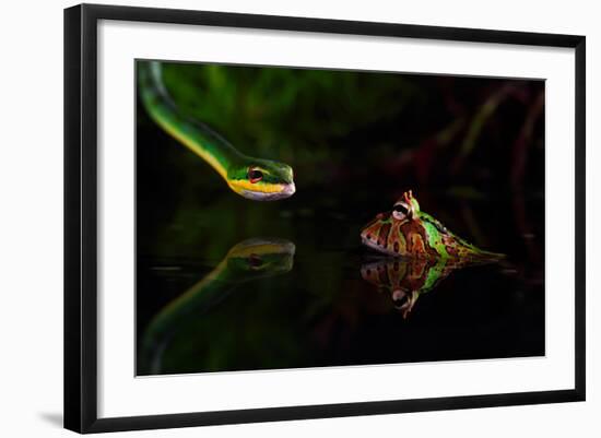 Untitled-Shikhei Goh-Framed Photographic Print