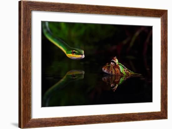 Untitled-Shikhei Goh-Framed Photographic Print