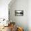 Untitled-Markus Kuhne-Framed Premier Image Canvas displayed on a wall