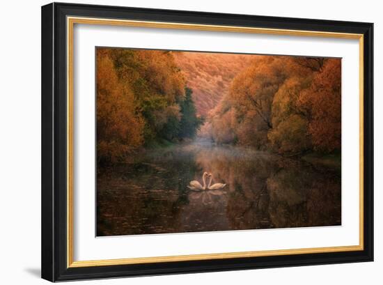 Untitled-Stanislav Hricko-Framed Photographic Print