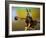 Untitled-Eyal Bussiba-Framed Photographic Print