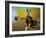 Untitled-Eyal Bussiba-Framed Photographic Print