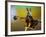 Untitled-Eyal Bussiba-Framed Photographic Print