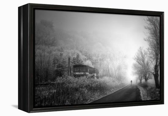 Untitled-Stanislav Hricko-Framed Premier Image Canvas