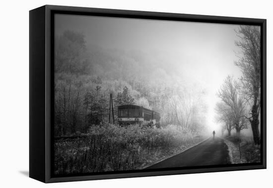 Untitled-Stanislav Hricko-Framed Premier Image Canvas