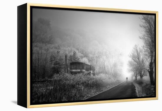 Untitled-Stanislav Hricko-Framed Premier Image Canvas