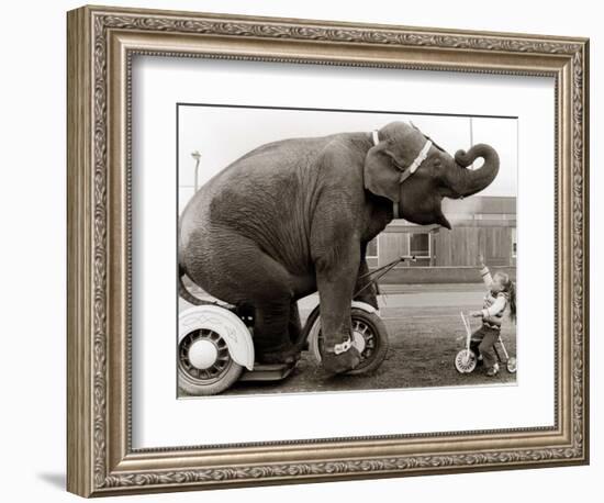 Untitled-null-Framed Photographic Print