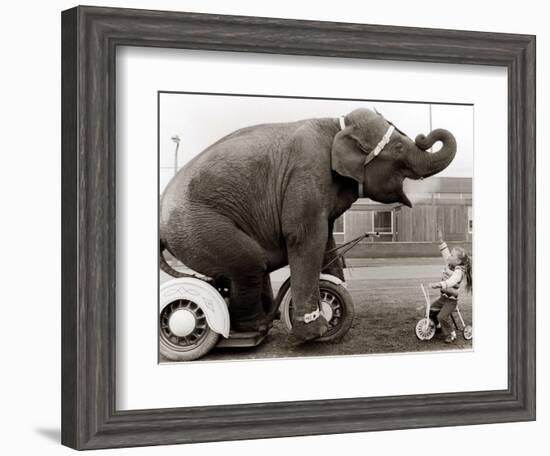 Untitled--Framed Photographic Print