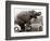 Untitled-null-Framed Photographic Print