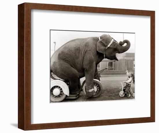 Untitled-null-Framed Photographic Print