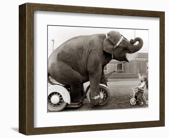 Untitled--Framed Photographic Print