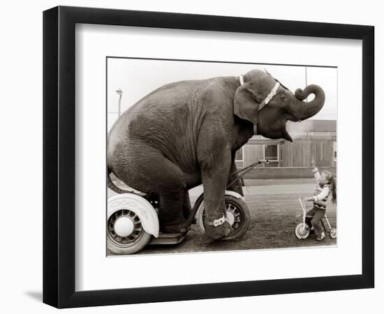 Untitled-null-Framed Photographic Print