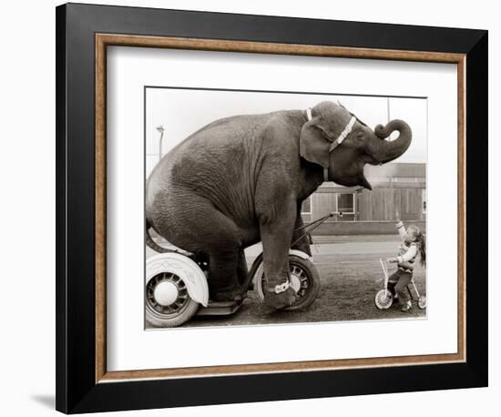 Untitled--Framed Photographic Print