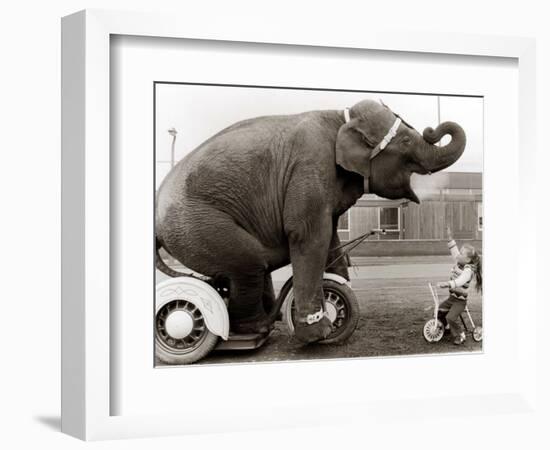 Untitled-null-Framed Photographic Print