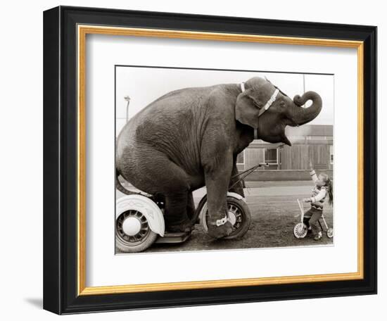 Untitled-null-Framed Photographic Print