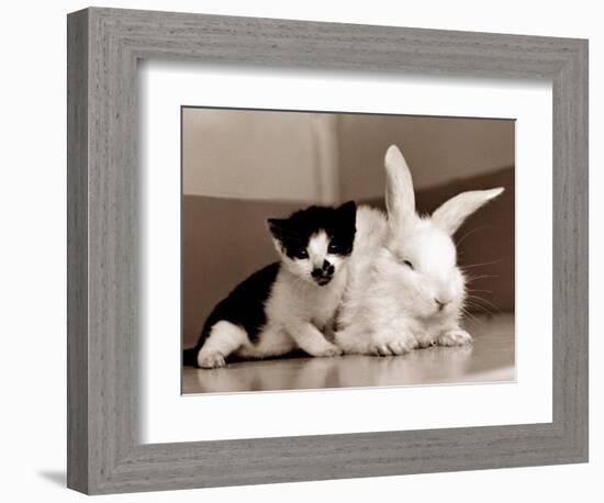 Untitled-null-Framed Photographic Print