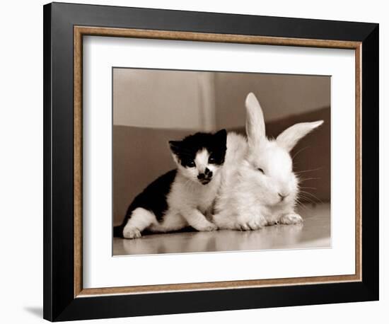 Untitled-null-Framed Photographic Print