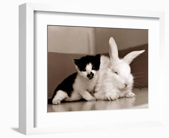 Untitled-null-Framed Photographic Print